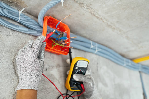 Best Electric Panel Repair  in Amherst, WI